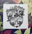 Image 1 of Square print Racoons