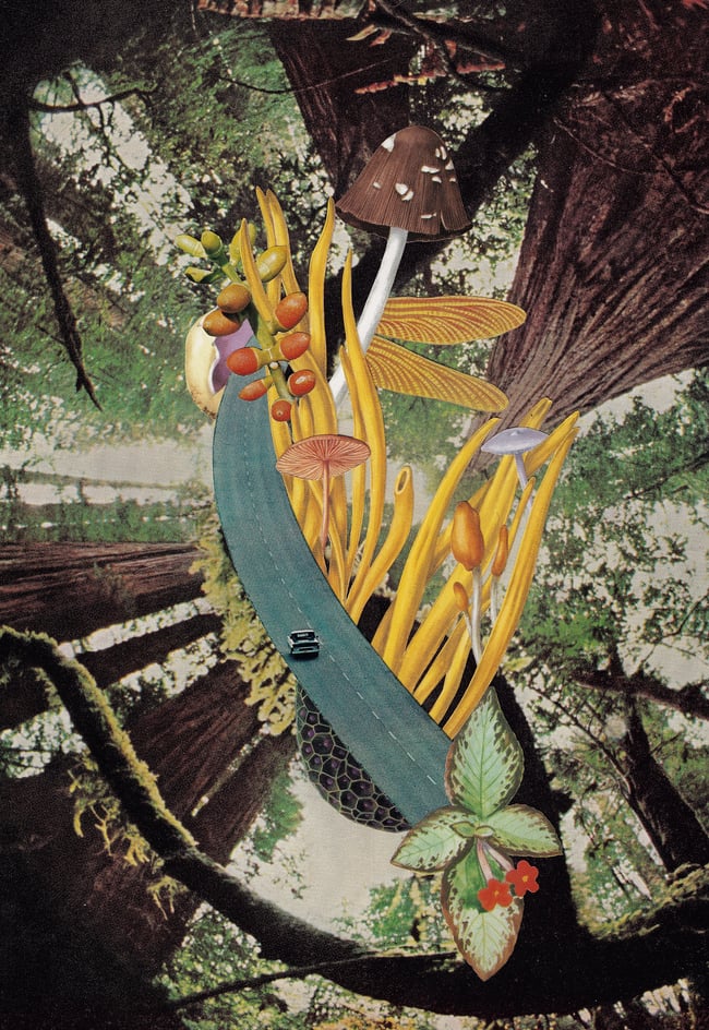 As The Road Goes On - Print