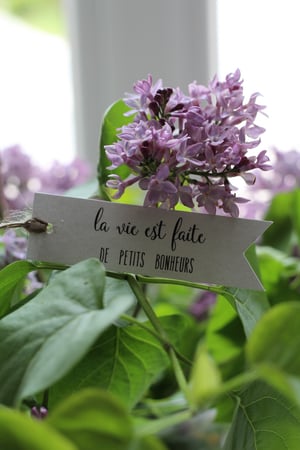 Image of Etiquette bannière LA VIE EST FAITE ... (BNNRLVPB1)