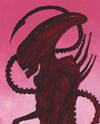 xenom (4x5, 8x10, 11x14, or 13x16 inches) fine art print