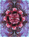  ofthemouth (4x5, 8x10, 11x14, or 13x16 inches) fine art print