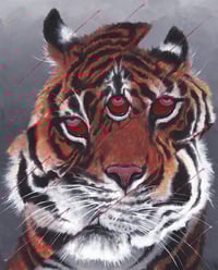 slabtiger (4x5, 8x10, 11x14, or 13x16 inches) fine art print