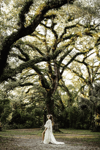 Image 3 of Signature Maternity session