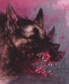 ahounddescending (4x5, 8x10, 11x14 inches) fine art print
