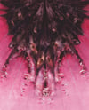 dgbrst ii (4x5, 8x10, 11x14 inches) fine art print