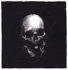 edib (4x4, 8x8 inches) fine art print