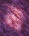 godinthefoldgodinthefur (4x5, 8x10, 11x14 inches) fine art print