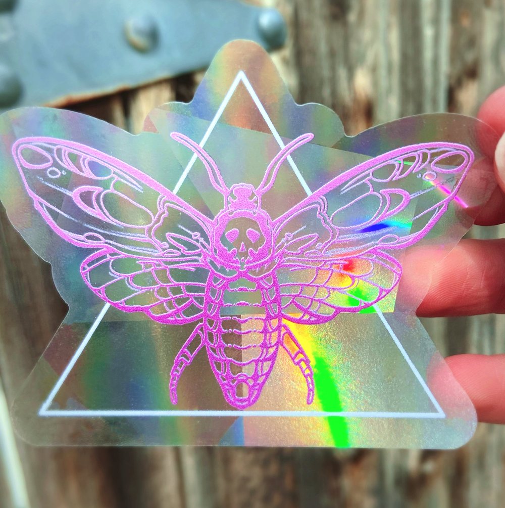Moth Suncatcher, Rainbow Maker Decal