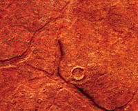 Image 2 of Red Planet Z - #2080 -- 6'x4' plus