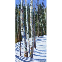 Image 1 of - Organic Shadows -
