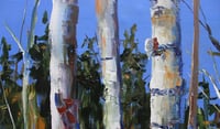 Image 3 of - Organic Shadows -