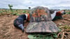 HONKER HUNTERS CAP