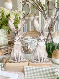 Image 1 of SALE! Set of Harry The Hare Decorations