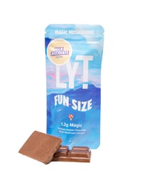 Magic Mushroom (Fun Size) 1.2g Chocolate Bar - LYT