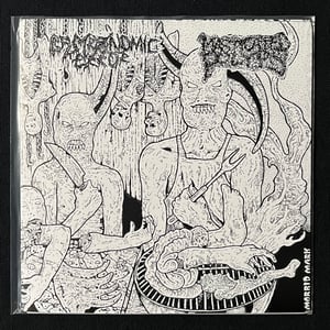 Image of Masticated Polyps / Gastronomic Error - Split 7"