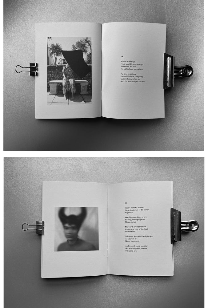 Image of A6 zine - Poems and Pictures