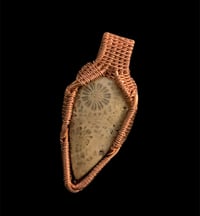 Image 1 of FOSSILIZED CORAL 