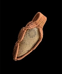 Image 2 of FOSSILIZED CORAL 