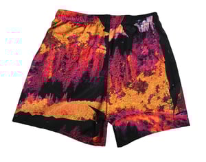 Image of Thermal Forest (Drawstring Shorts)