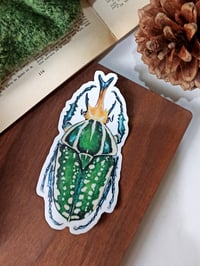 Image 1 of Mecynorhina Beetle Bumper Sticker 