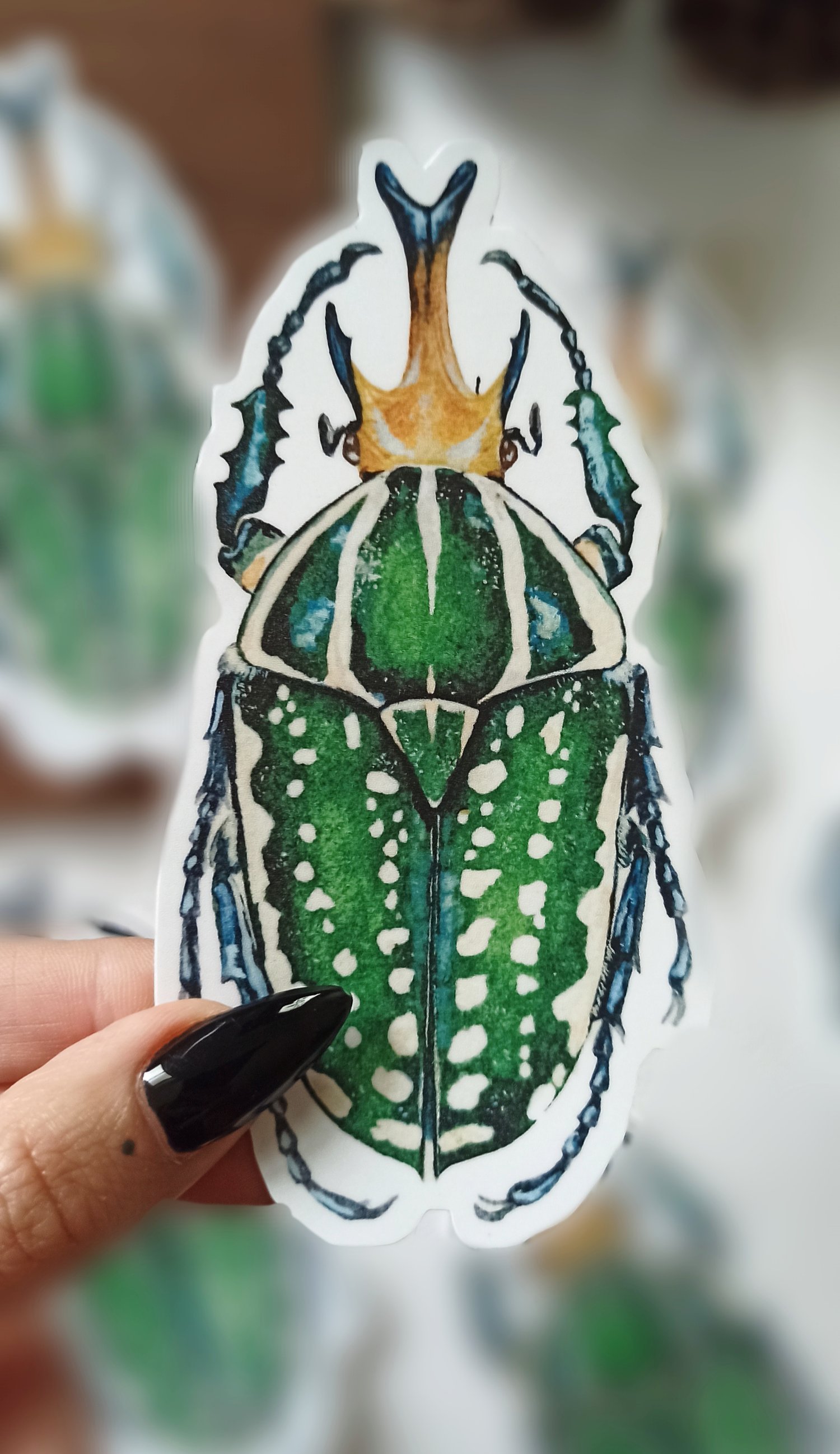 Image of Mecynorhina Beetle Bumper Sticker 