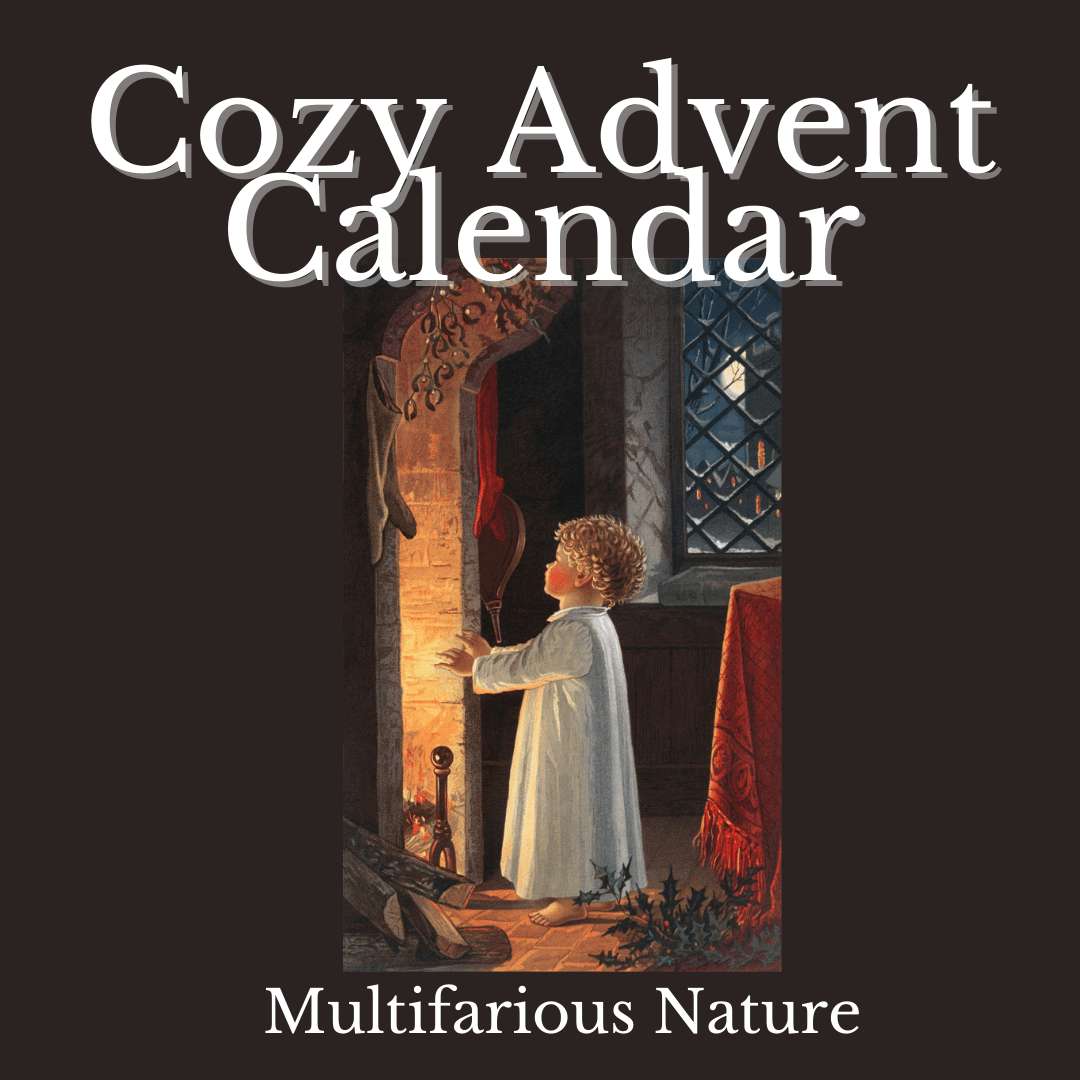 2022 Cozy Advent Calendar Multifarious Nature