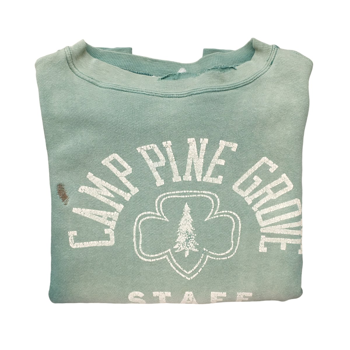 Image of Vintage Sunfaded Green Camp Pine Sweatshirt