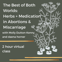 Image 1 of Best of Both Worlds: Herbs + Medication in Abortions and Miscarriage Recording