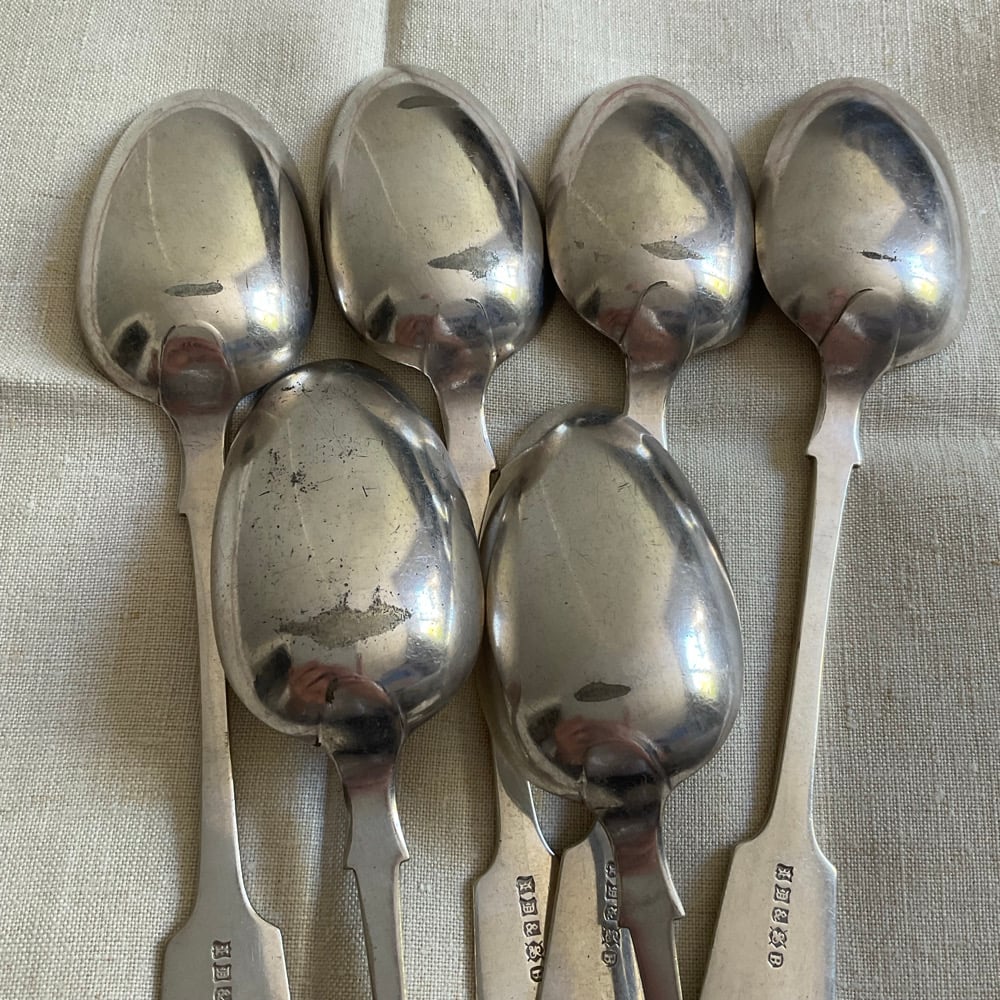 Image of Large Spoons (6 pieces)