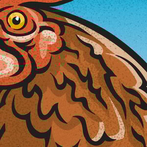 Image of 'Black Tail Hen' Open Edition Print