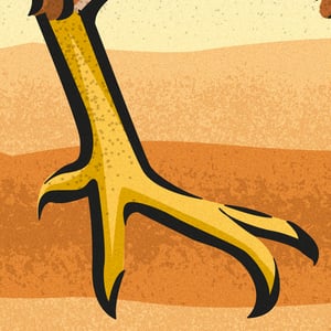 Image of 'Black Tail Hen' Open Edition Print