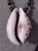 Image of LARGE SPOTTED COWRIE SHELL WITH TIGER EYE