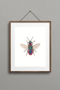 Image 3 of Cuckoo wasp Watercolor Illustration PRINT 