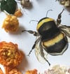 Bumblebee