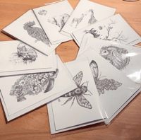Image 6 of Greeting Cards