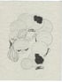 spring worm 4 thai ✿ Image 3