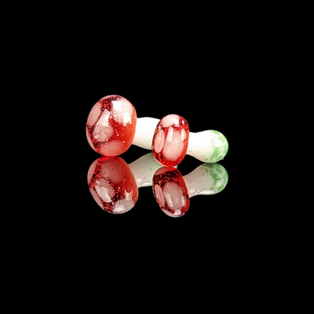 Image of Terp Mushroom Pearl