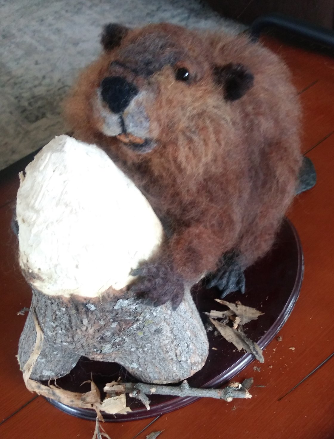 Image of (Free shipping)Beaver
