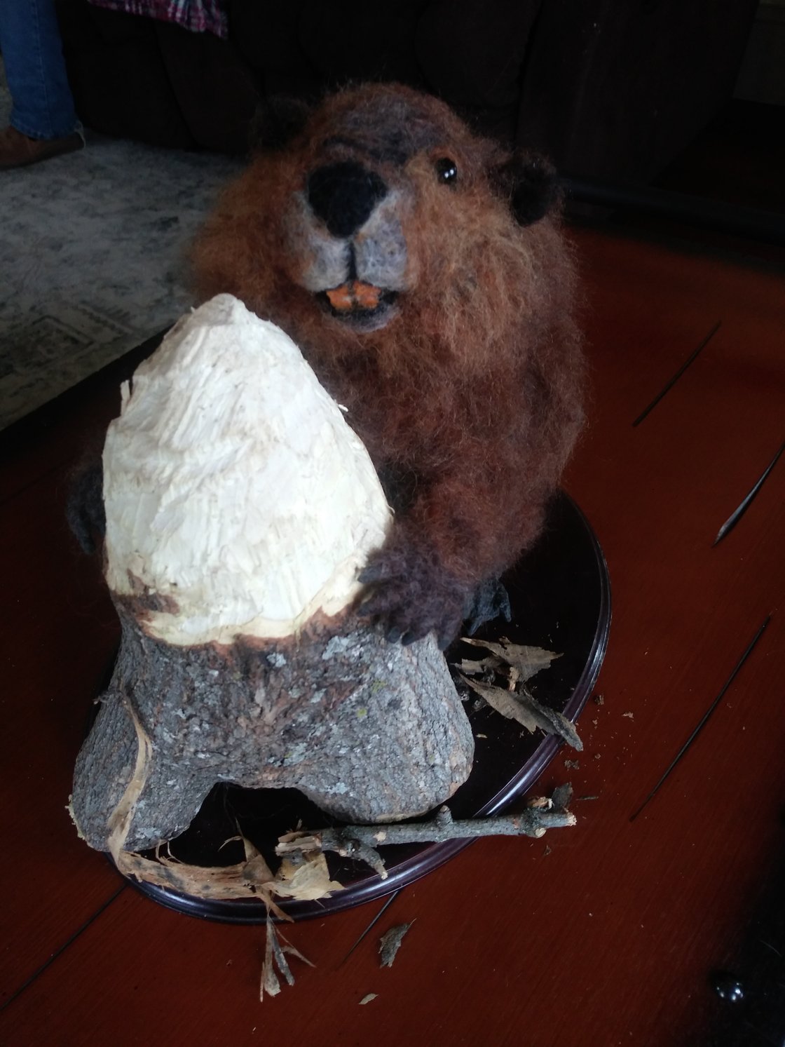 Image of (Free shipping)Beaver