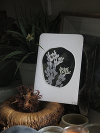 Image 2 of Sophie Bøhrt N°24