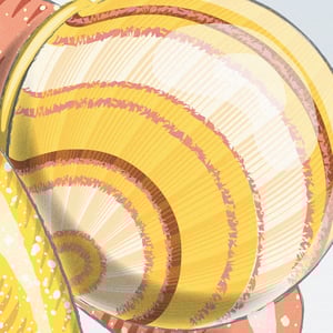 Image of 'Snail Love" Open Edition Print