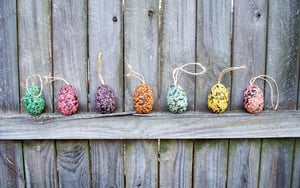 Image of Tweet Treats - Birdseed Ornaments - Set of 7