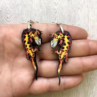 Image 2 of Firebelly Newt Earrings