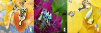 Image 4 of Genshin Emblem Pins