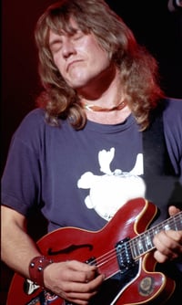 Image 4 of Alvin Lee guitar stickers old Gibson Big Red ES-335 Custom decal Ten Years After set 6