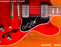 Image 5 of Alvin Lee guitar stickers old Gibson Big Red ES-335 Custom decal Ten Years After set 6