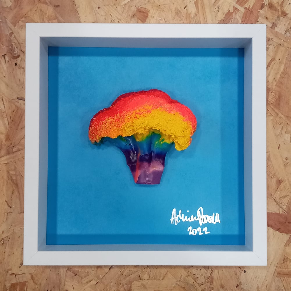 Image of RAINBOW VII