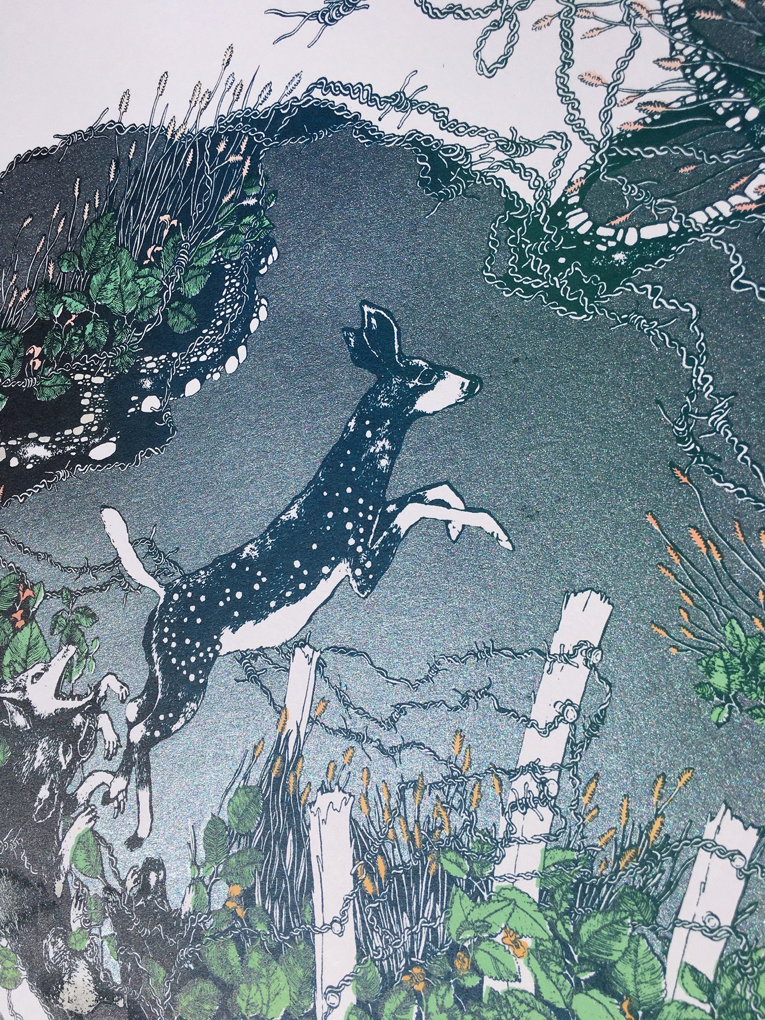 Image of Leaping