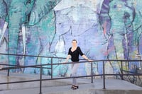 Image 3 of Mural minis - Dallas $99.50 non refundable retainer