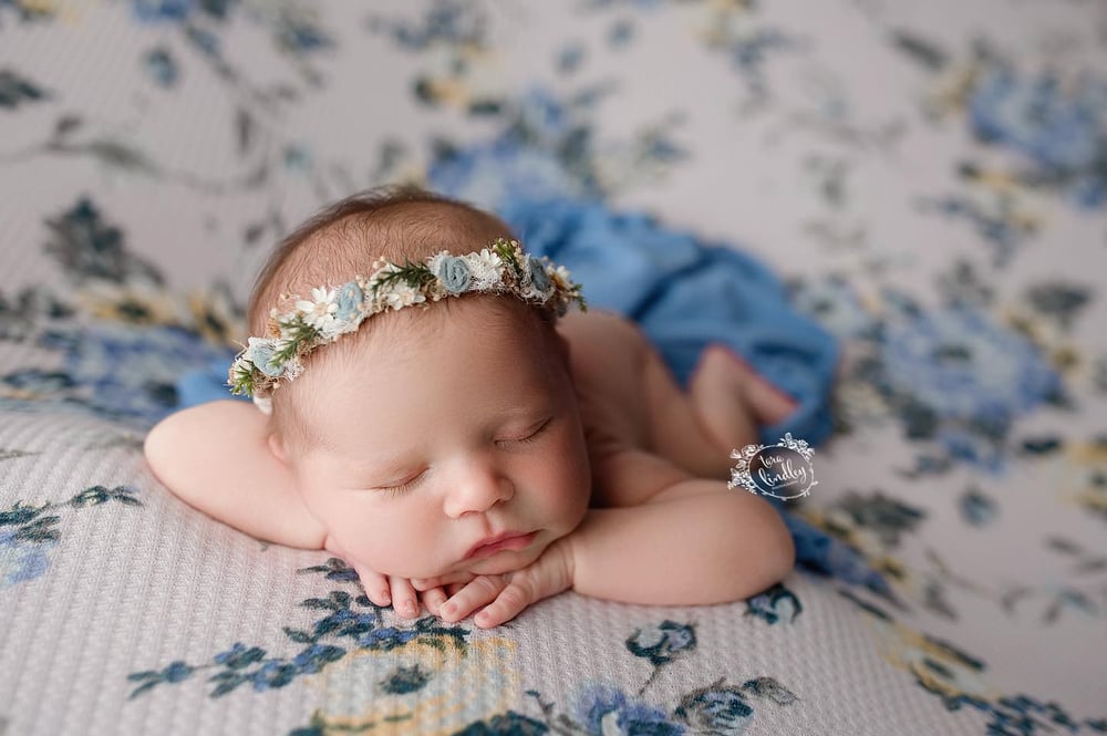 Image of Cadence Beanbag Backdrop